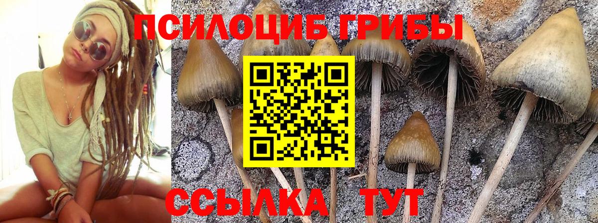 Артём  Галлюциногенные грибы прущие грибы  Вход с VPN 