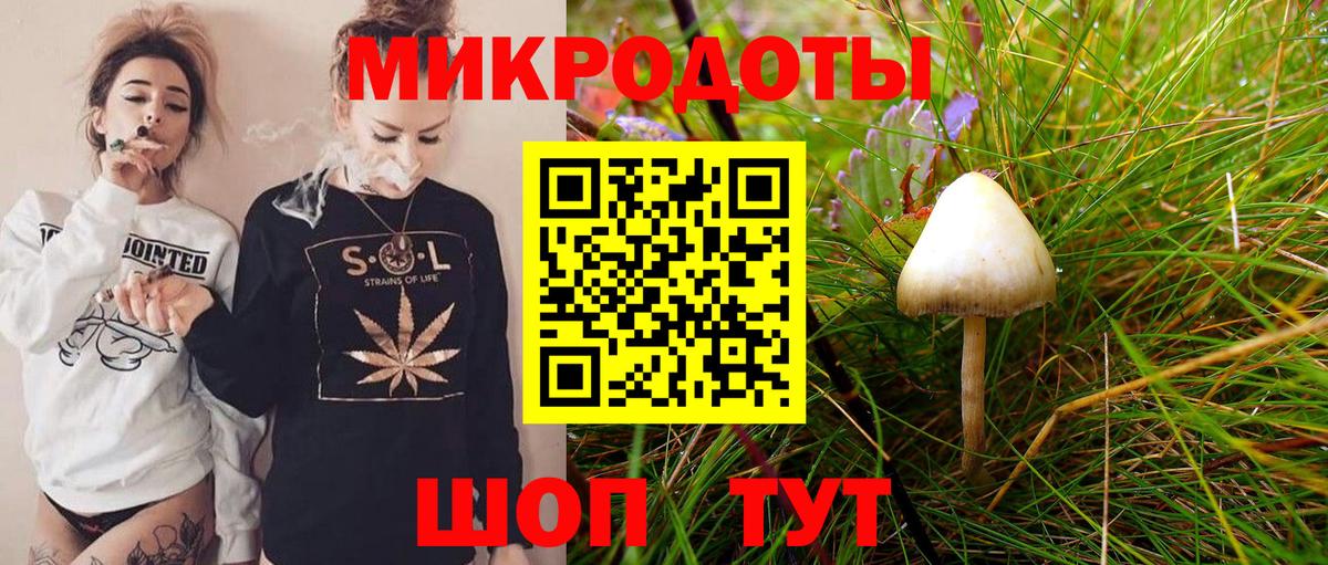 Псилоцибиновые грибы мицелий Артём
